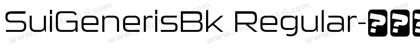 SuiGenerisBk Regular字体转换